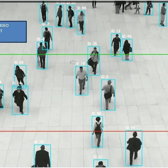 Crowd & Motion Intelligence